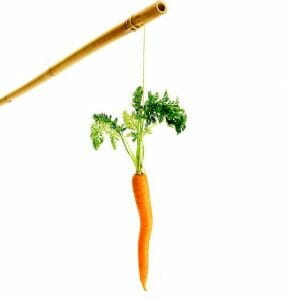 carrot dangling from string