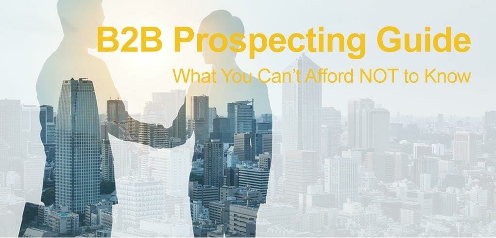 B2B Prospecting Guide