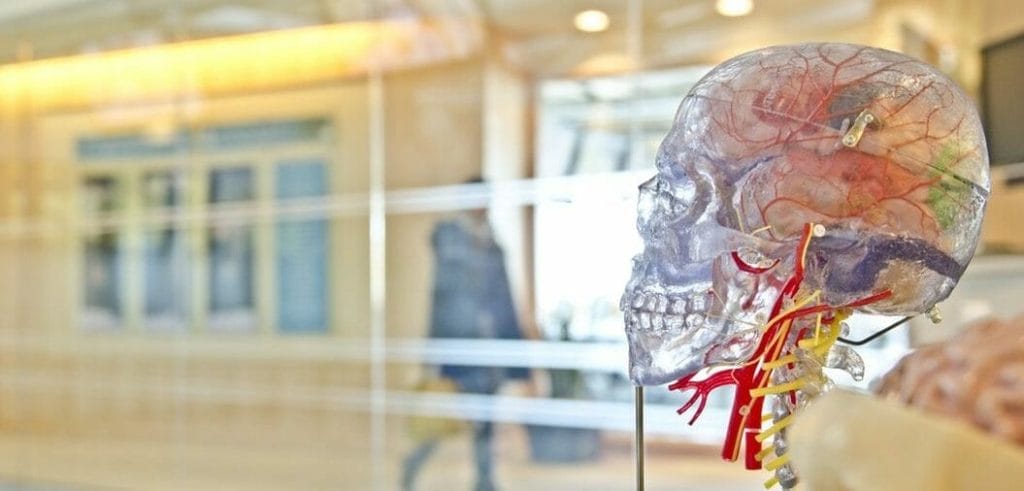 How To Use NLP In Sales For Higher Close Rates